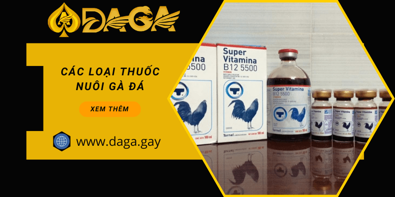 Các loại thuốc nuôi gà đá: Giới thiệu 5 loại quan trọng nhất