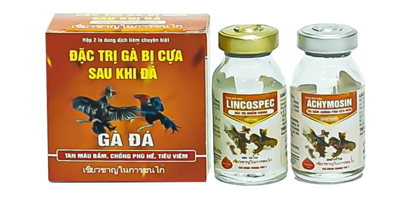 Các loại thuốc nuôi gà đá không thể bỏ qua thuốc phục hồi sức lực sau mỗi trận chiến