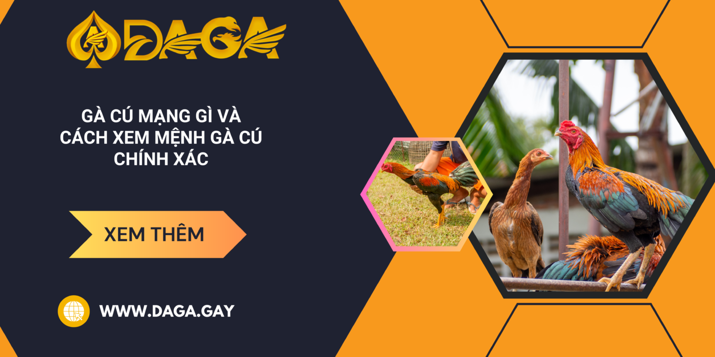 Gà cú mạng gì và cách xem mệnh gà cú chính xác